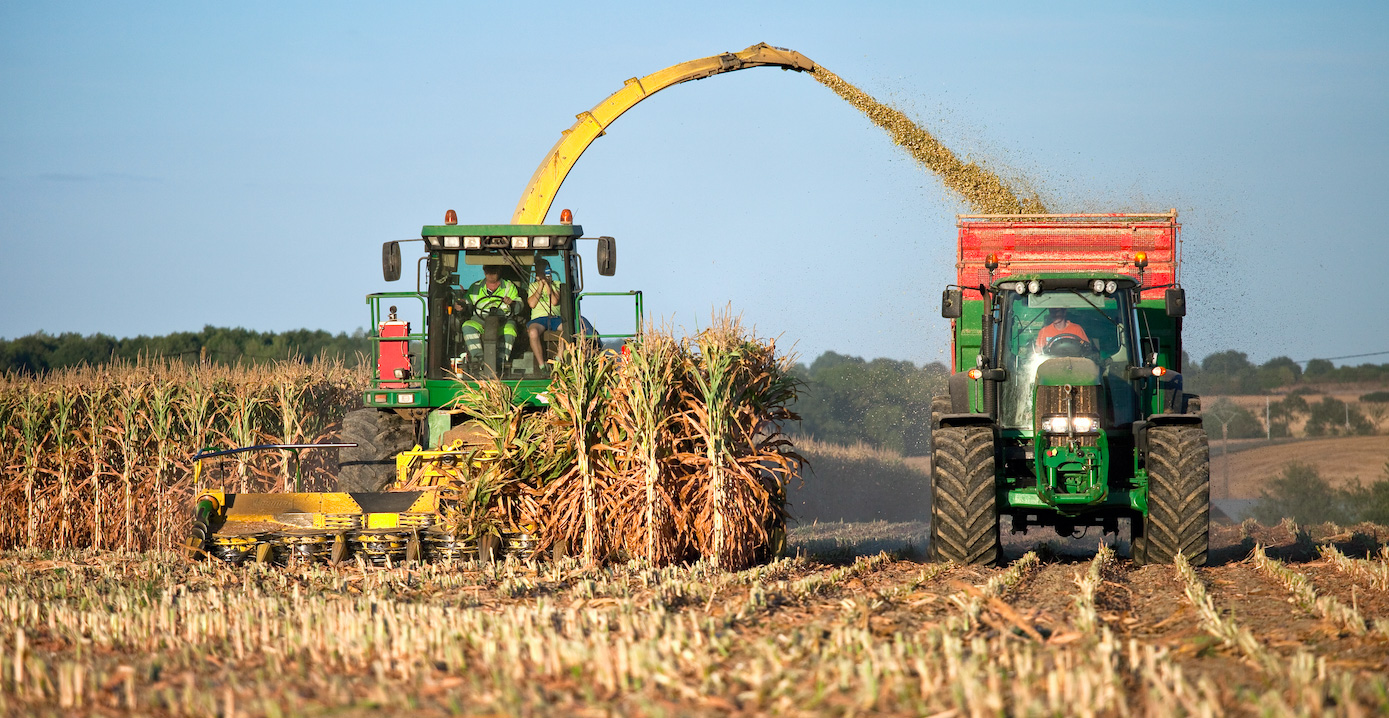 Autorité de la concurrence